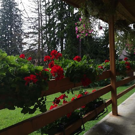 Challet Montan Poiana Brasov Exterior foto