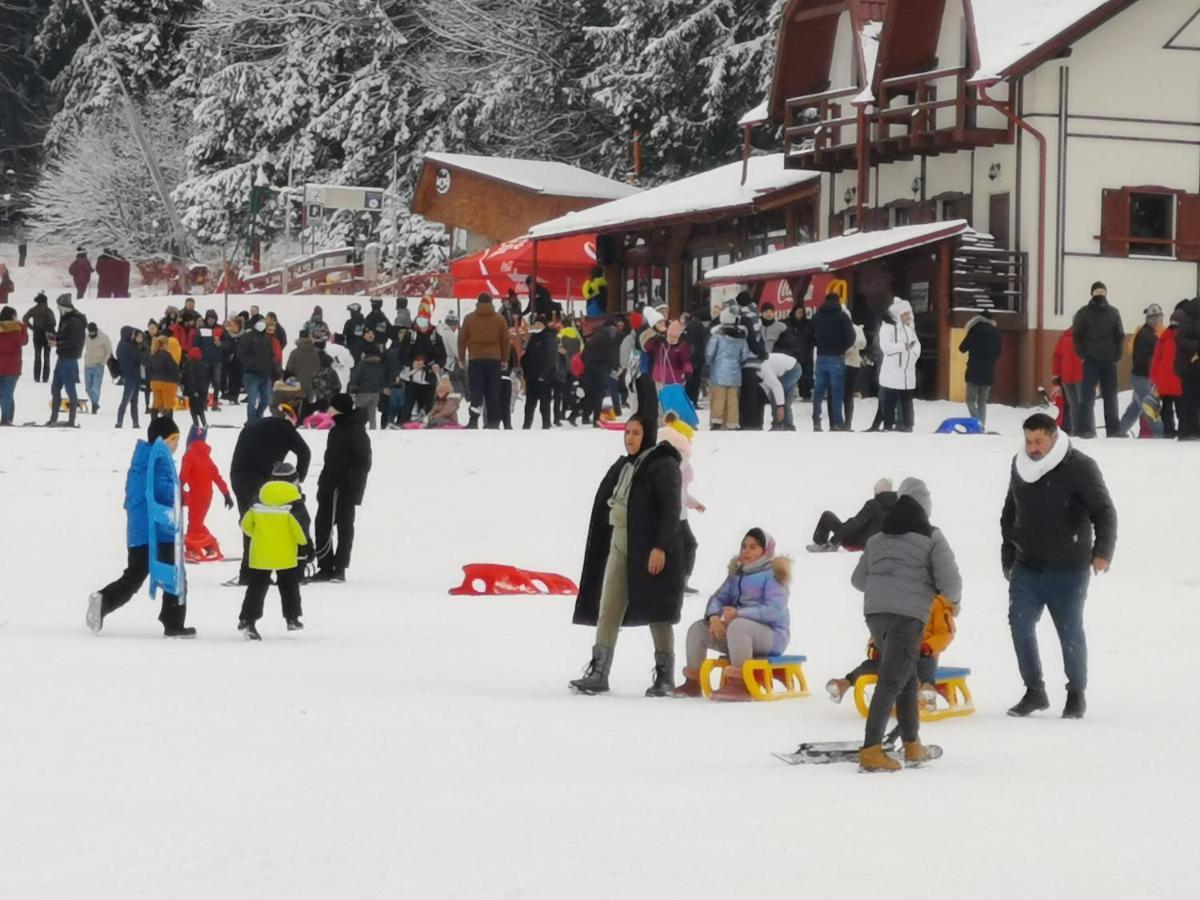 Challet Montan Poiana Brasov Exterior foto