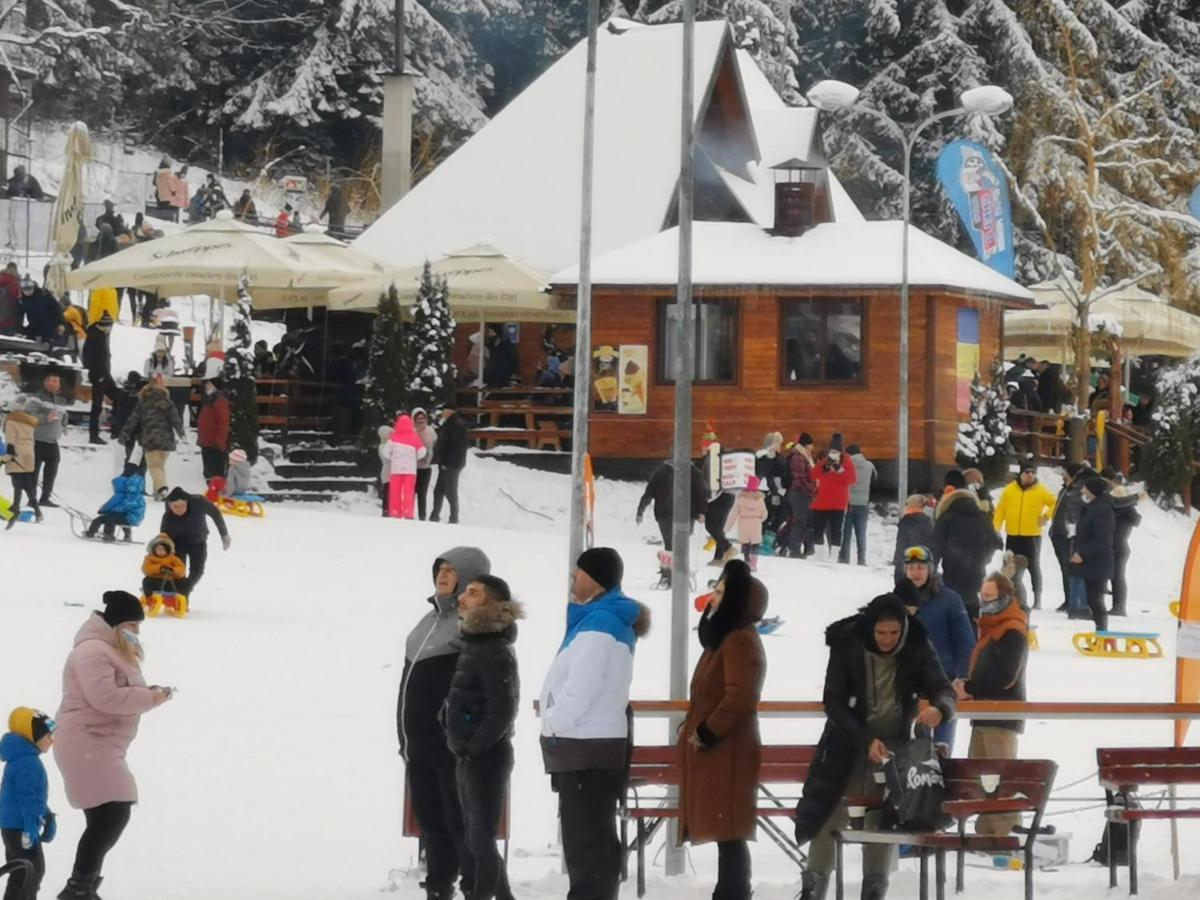 Challet Montan Poiana Brasov Exterior foto