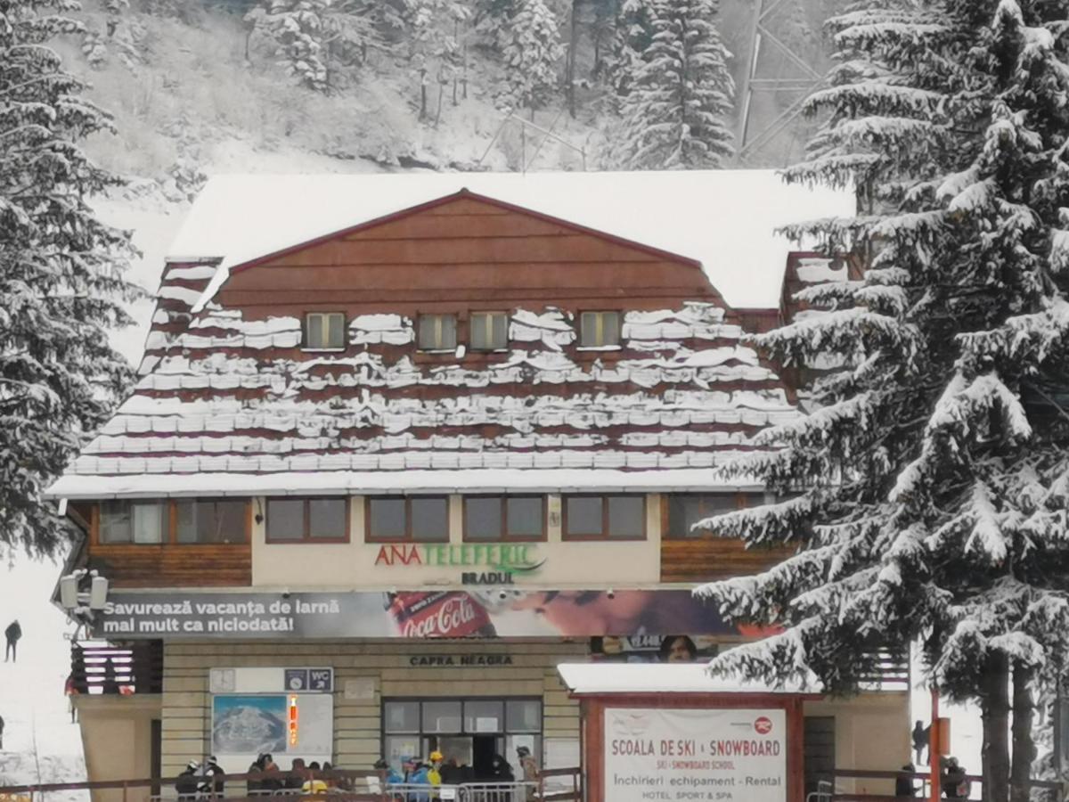 Challet Montan Poiana Brasov Exterior foto