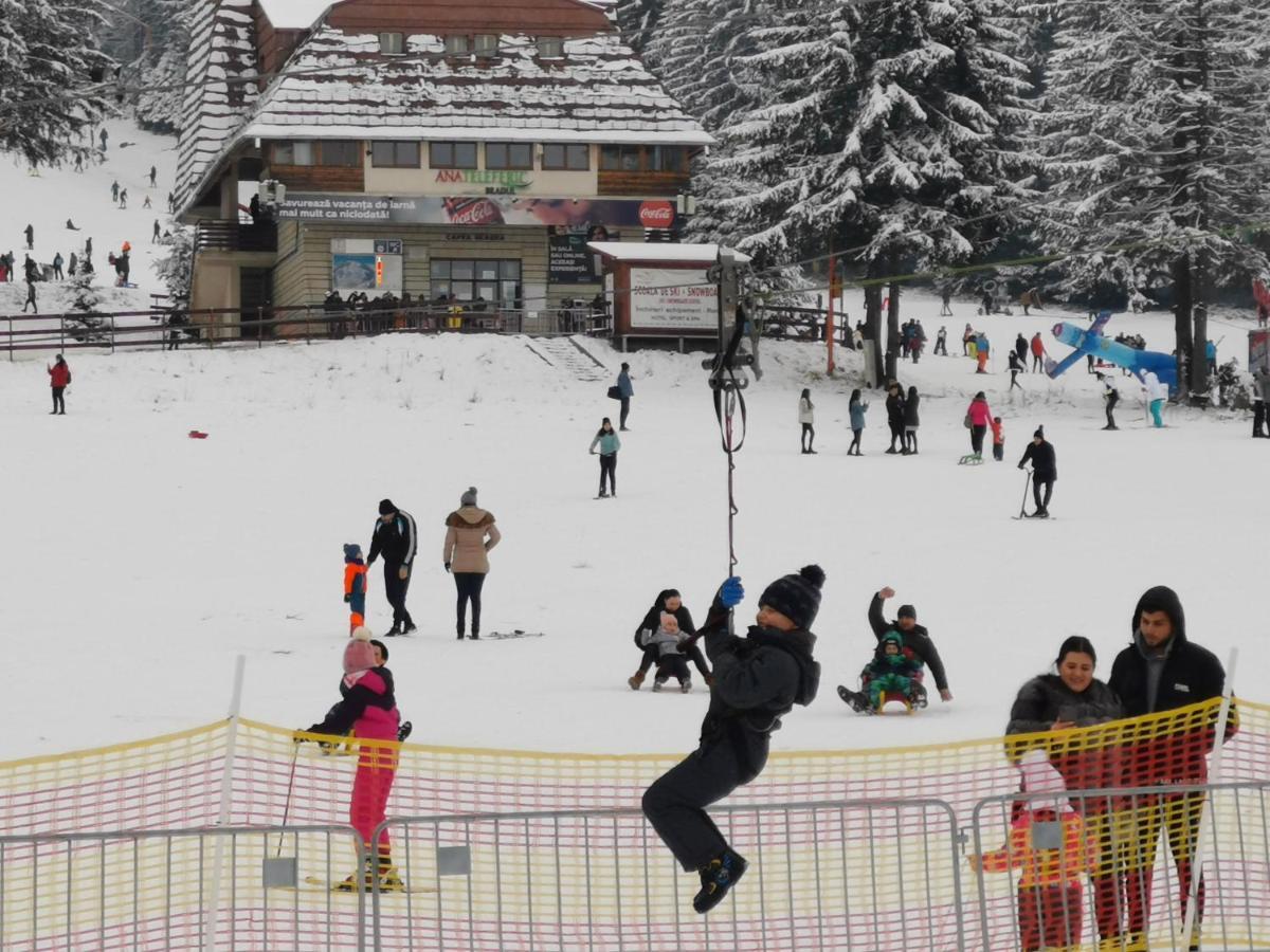 Challet Montan Poiana Brasov Exterior foto