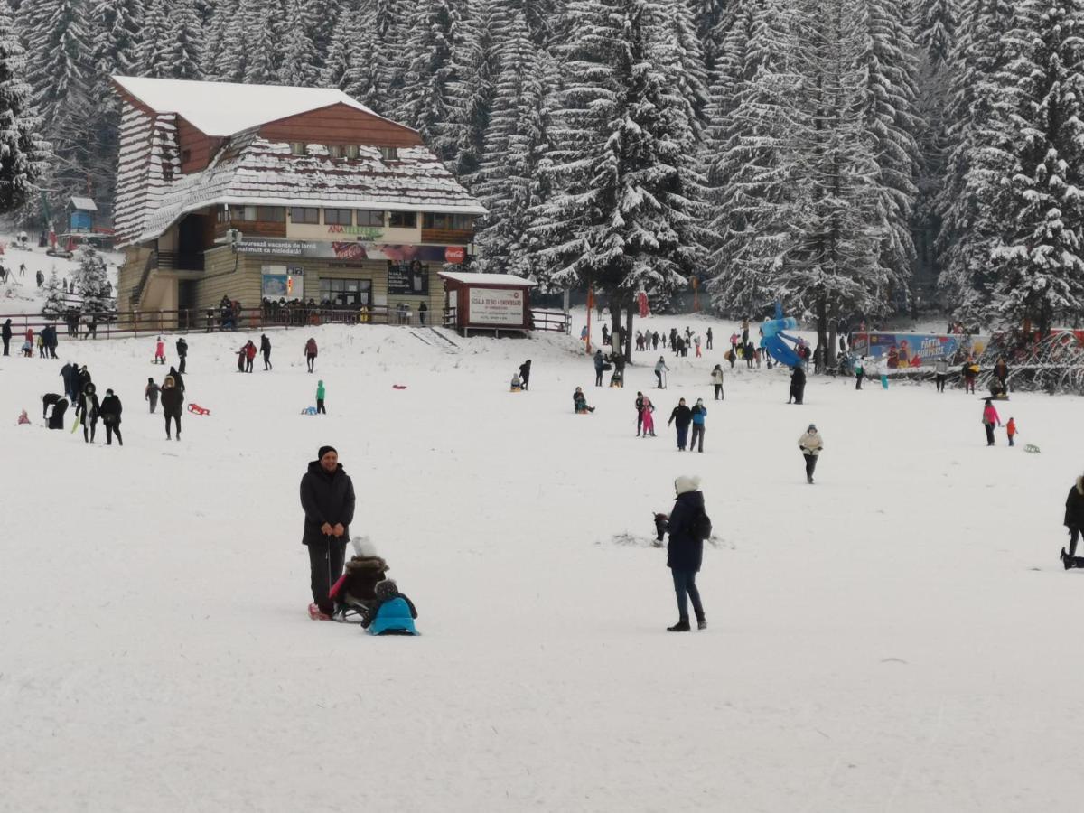Challet Montan Poiana Brasov Exterior foto