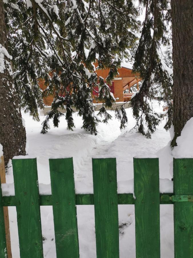 Challet Montan Poiana Brasov Exterior foto