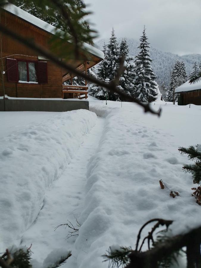 Challet Montan Poiana Brasov Exterior foto
