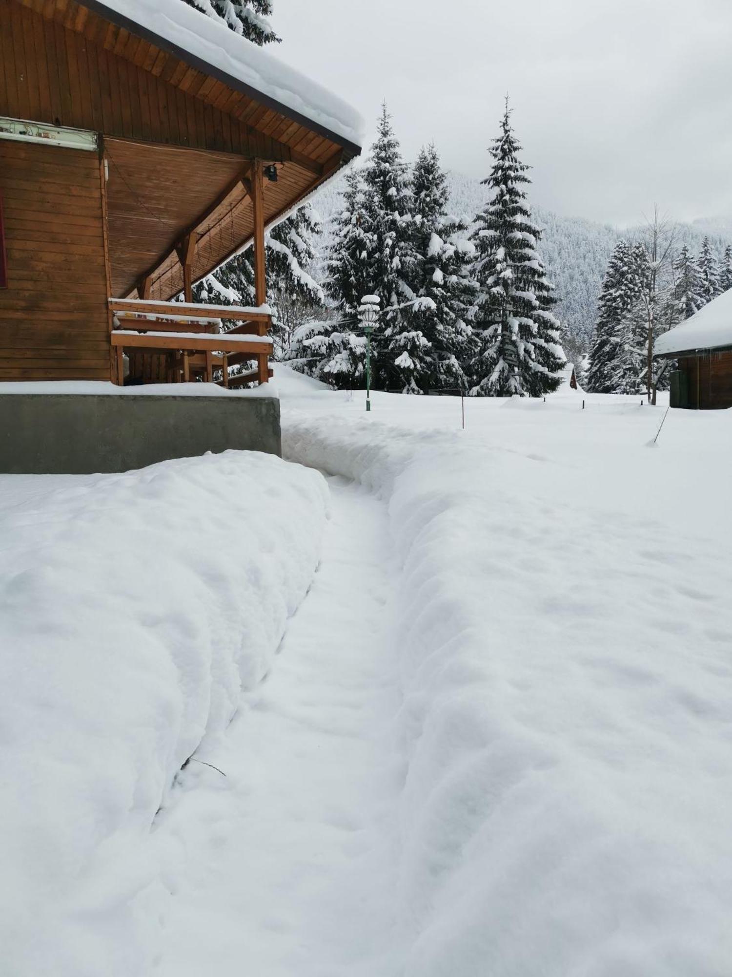 Challet Montan Poiana Brasov Exterior foto