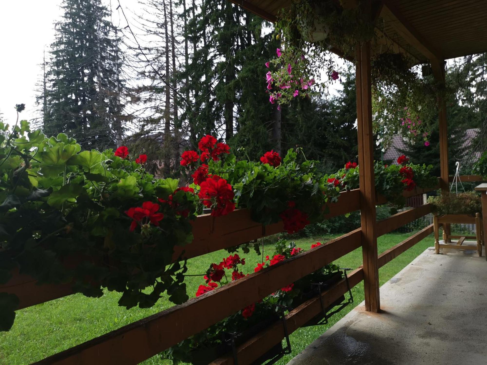 Challet Montan Poiana Brasov Exterior foto