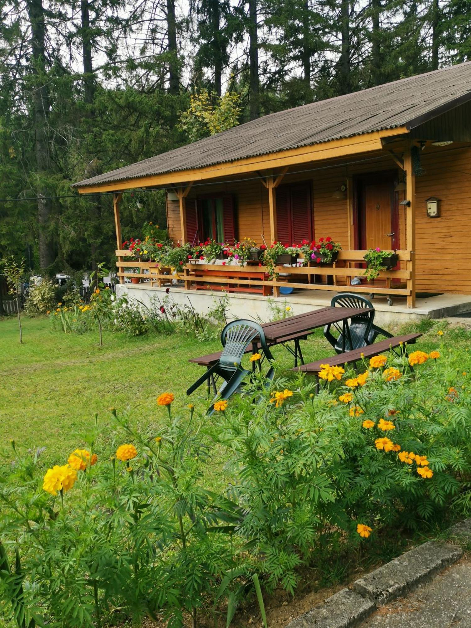 Challet Montan Poiana Brasov Exterior foto